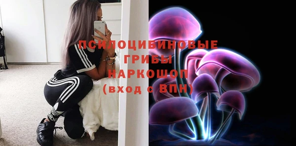 дмт Абаза