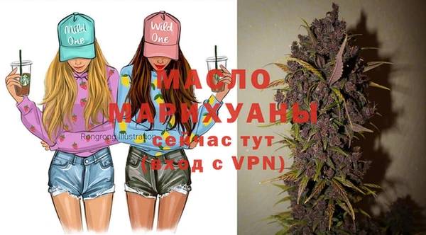 дмт Абаза